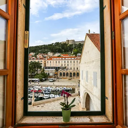 Lilly With Amazing View