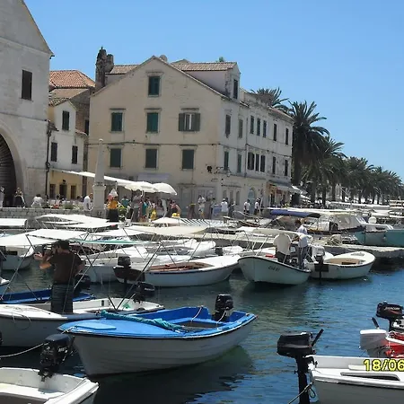 Lilly With Amazing View