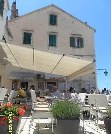 Lilly With Amazing View