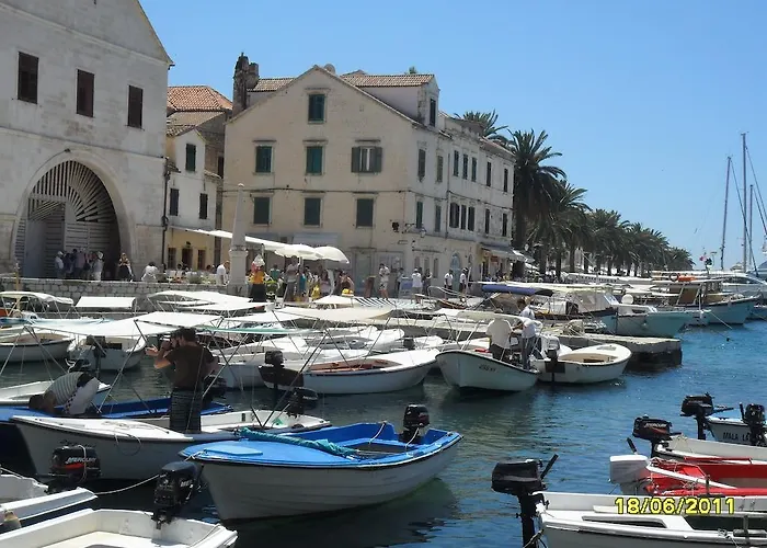 Lilly With Amazing View